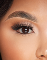 Lashes - ริบหรี่แห่งความหวัง