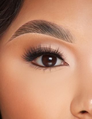 P.Louise Lashes - บานเต็มที่