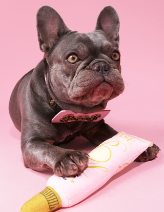 พี.หลุยส์ เบส ของเล่นสุนัข