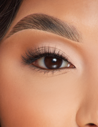 P.Louise Lashes - จุดประสงค์อันบริสุทธิ์