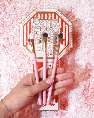 Santa Please Stop Here Mini Brushes