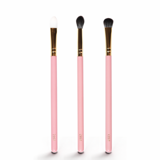Santa Please Stop Here Mini Brushes
