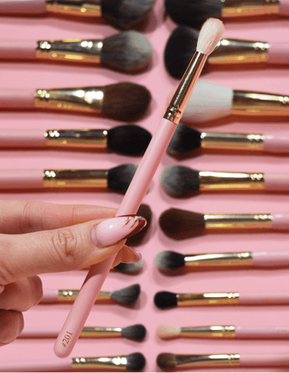 P.Louise #201 แปรงเบลนด์ดิ้ง