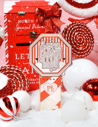 Santa Please Stop Here Mini Brushes